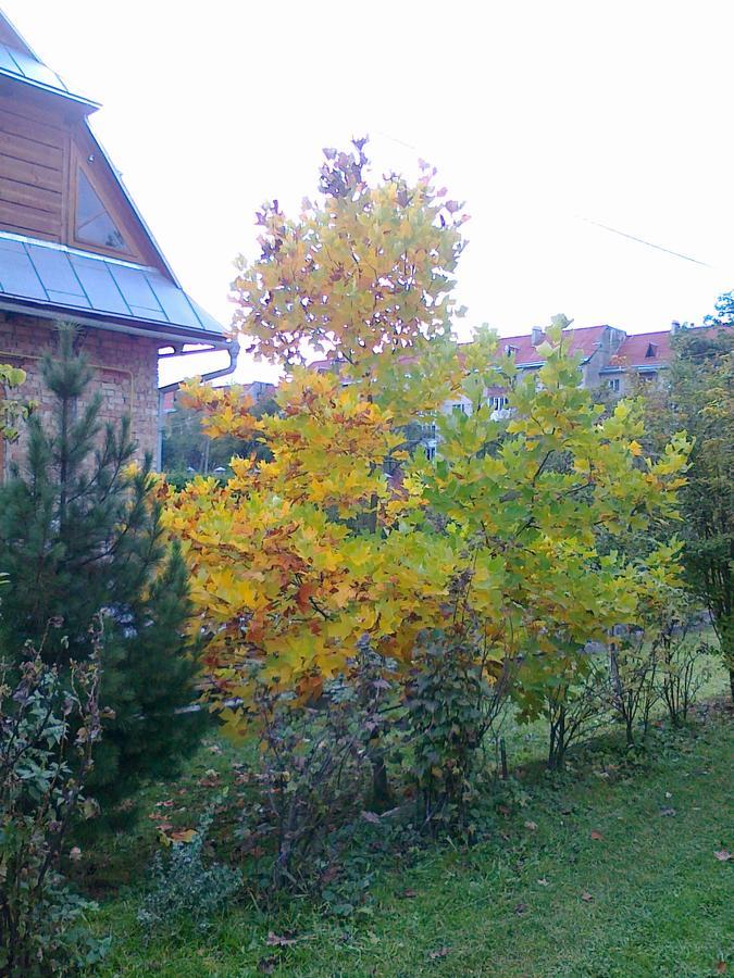 Borgaza Hotel Yaremche Exterior foto